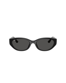 Ray-Ban RB 4457D 55 667787